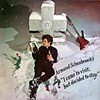 Armand Schaubroeck - I Came to Visit but Decided to Stay