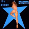 joy-division-enigma